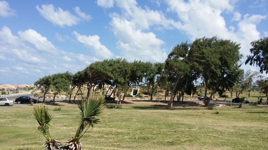 Egypt  - Alexandria - Almontazah 