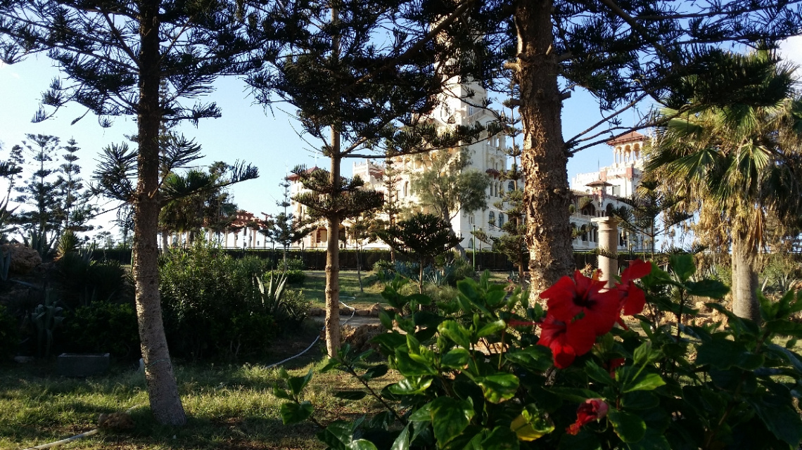 Egypt  - Alexandria - Almontazah 