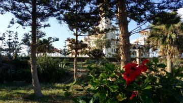 Egypt  - Alexandria - Almontazah 