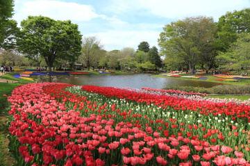 Flower park