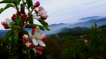 İlkbahar manzarası