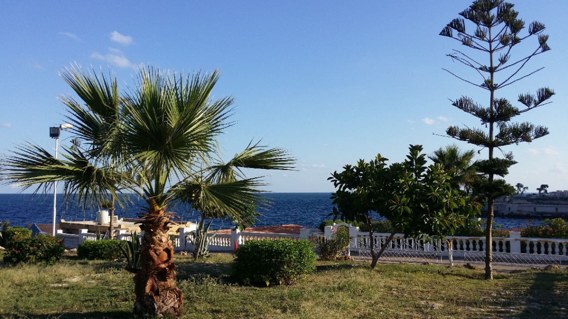 Egypt  - Alexandria - Almontazah 