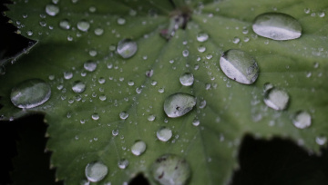Rain moments ...