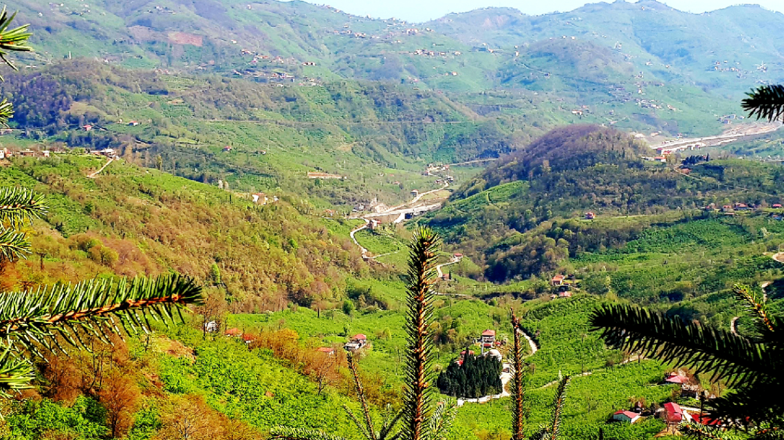 Manzara