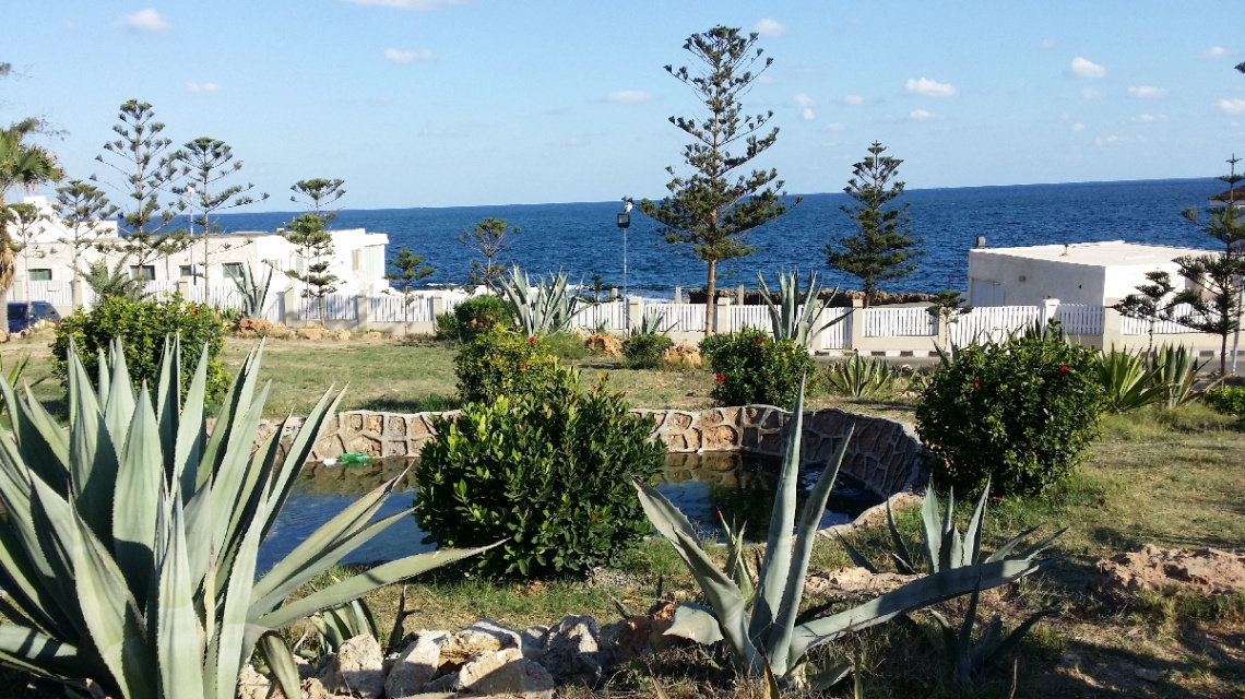 Egypt  - Alexandria - Almontazah 