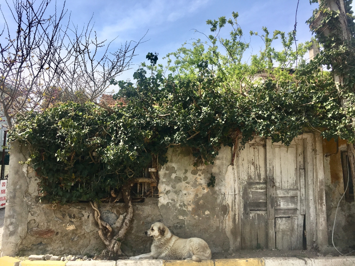 Kanlıca’da geçmişe dönüş