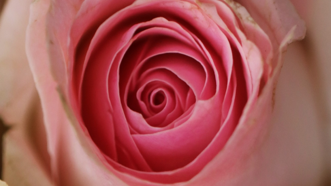 Close up...