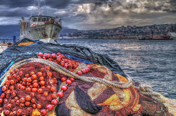 In the port