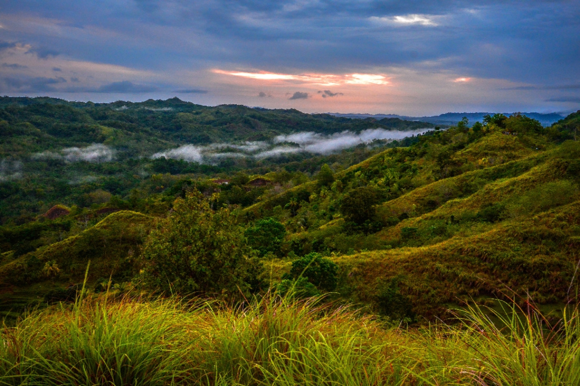 Breaking Dawn