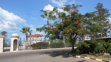 Egypt  - Alexandria - Almontazah 