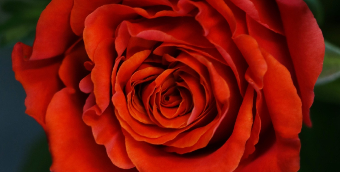 Red !!!