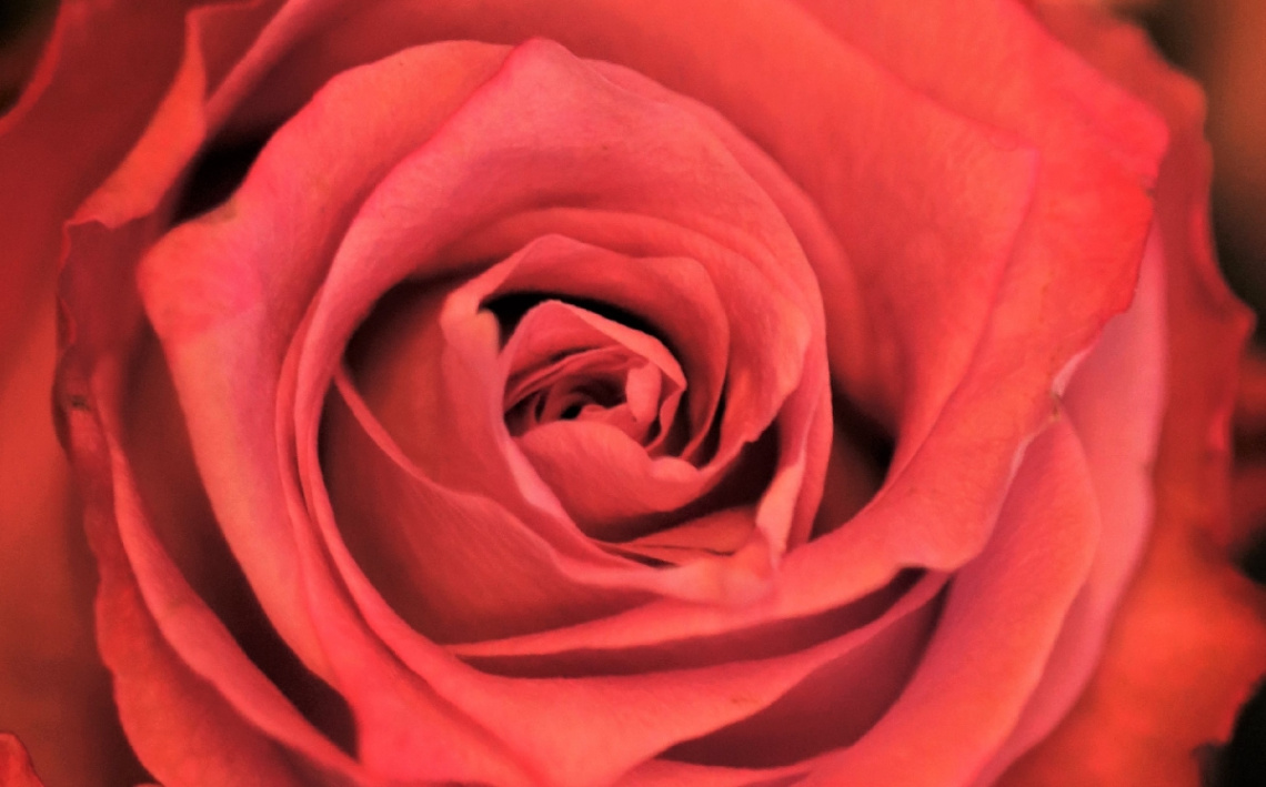 Red Moment
