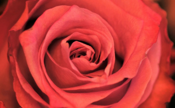 Red Moment