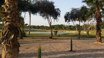 Egypt  - Giza - Dream land 