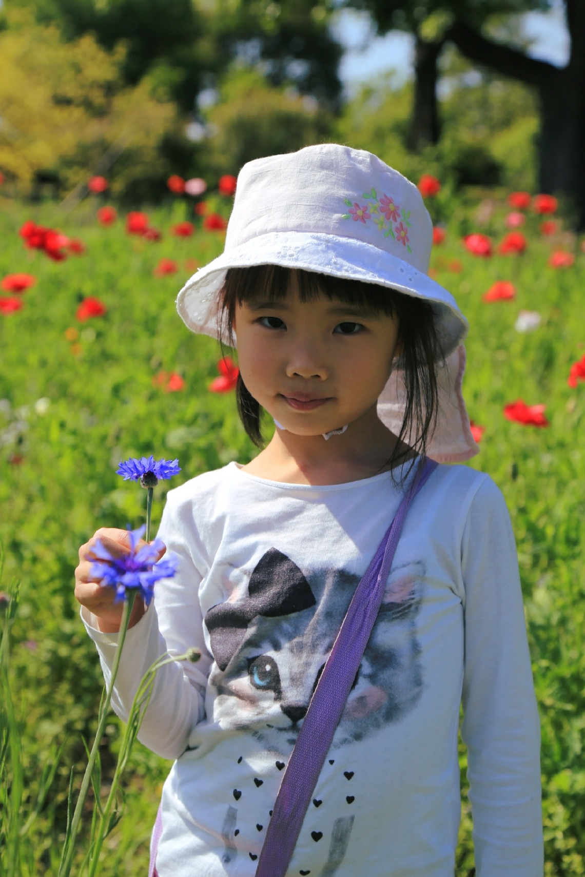 Flower garden