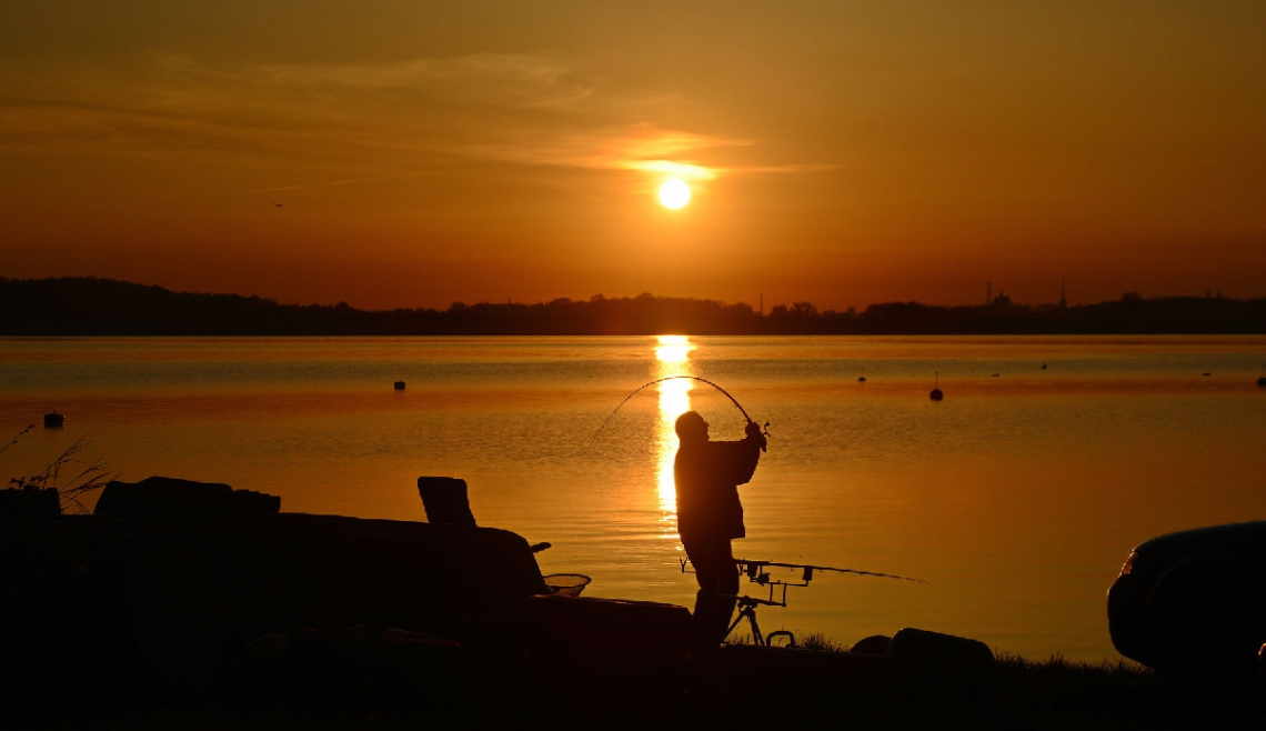 ... fishman