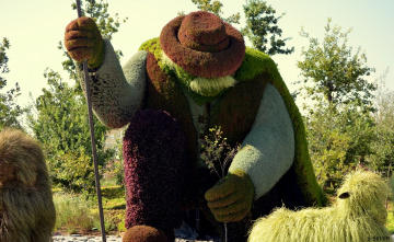 Ağaç Adam