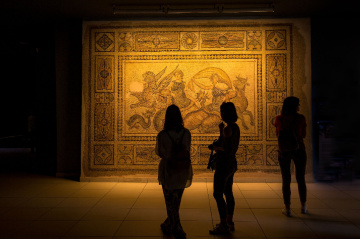 Zeugma Mozaik Müzesi.G.ANTEP