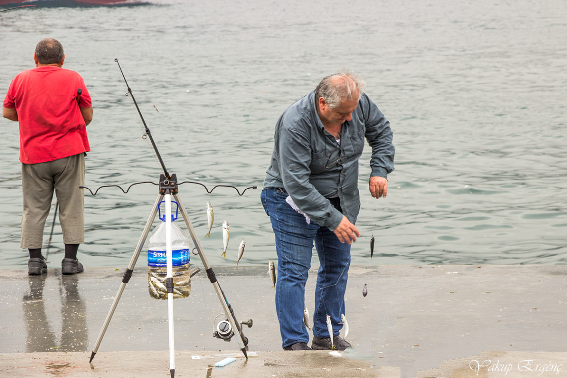 BALIKÇI