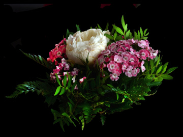 BLÜTEN