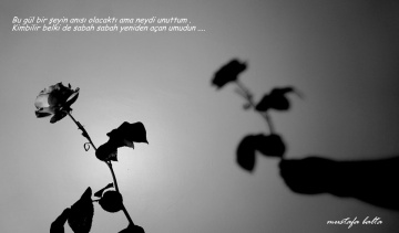 Miniciks Hayatlar  BU GÜL ...