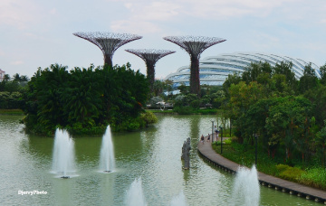 Garden by the bay Singapore