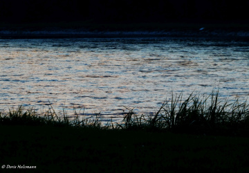 Sonnenuntergang am Rhein
