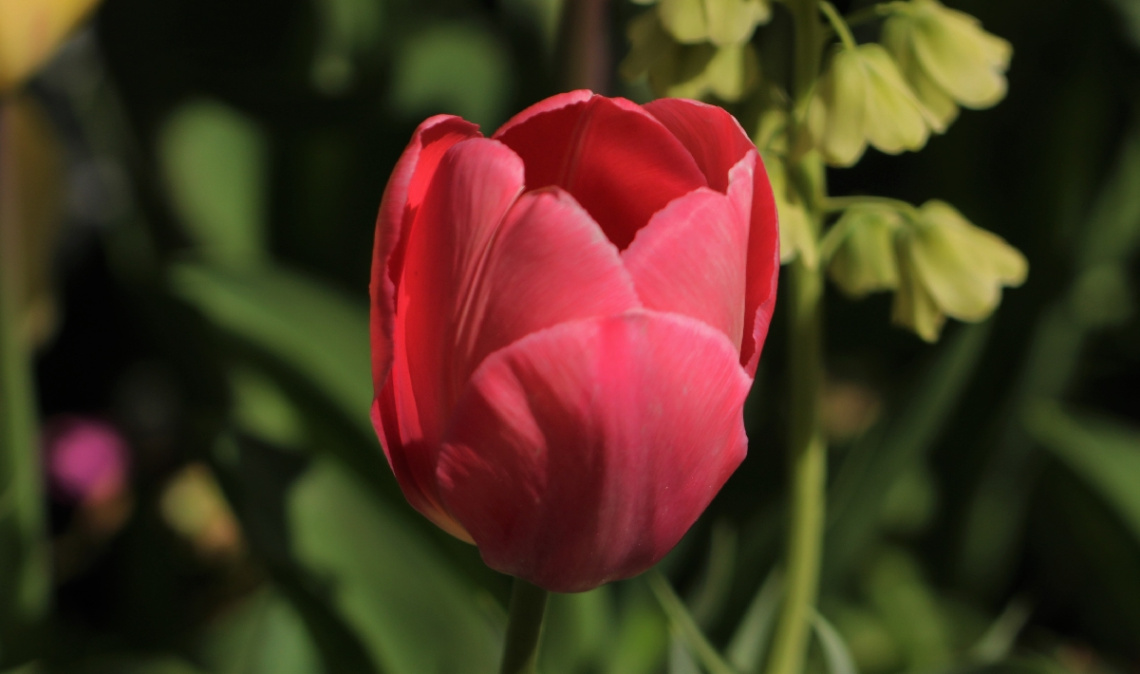 Outside 50