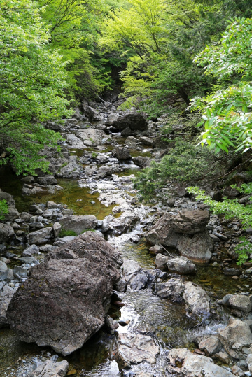 Stream