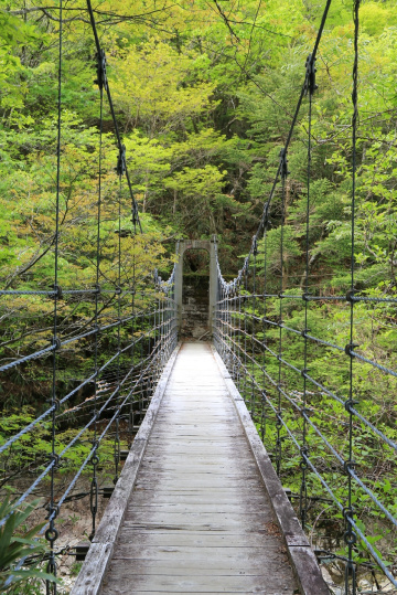 Suspension bridge