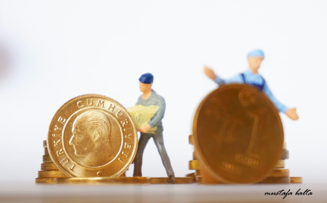 Miniciks Hayatlar  1KURUŞ