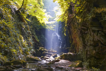 Dağpınar