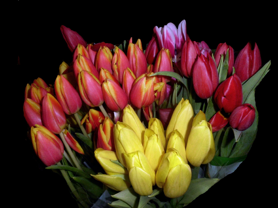 BLÜTEN