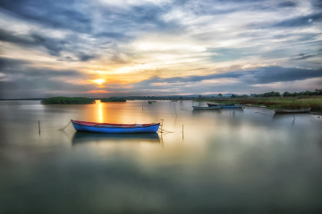 Bandırma Kuş Cenneti