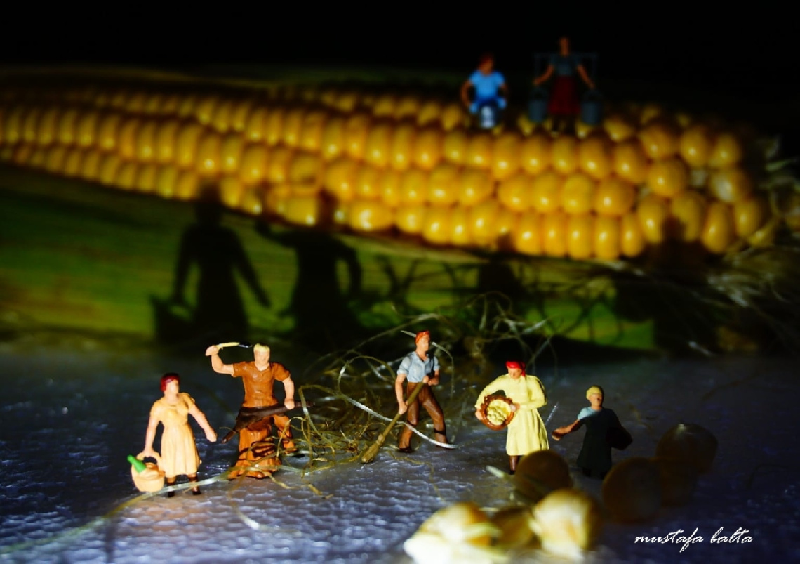 Miniciks Hayatlar  MISIR&GÖLGE 