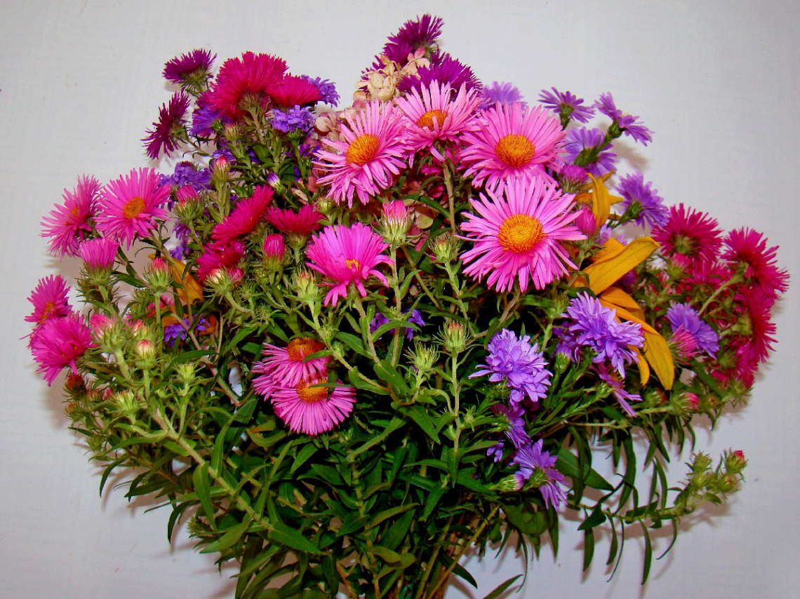 BLUMENSTRAUSS