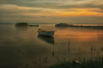 Bandırma Kuş Cenneti