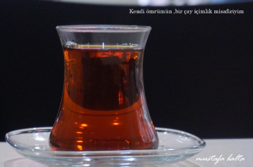 Miniciks Hayatlar  ÇAY 