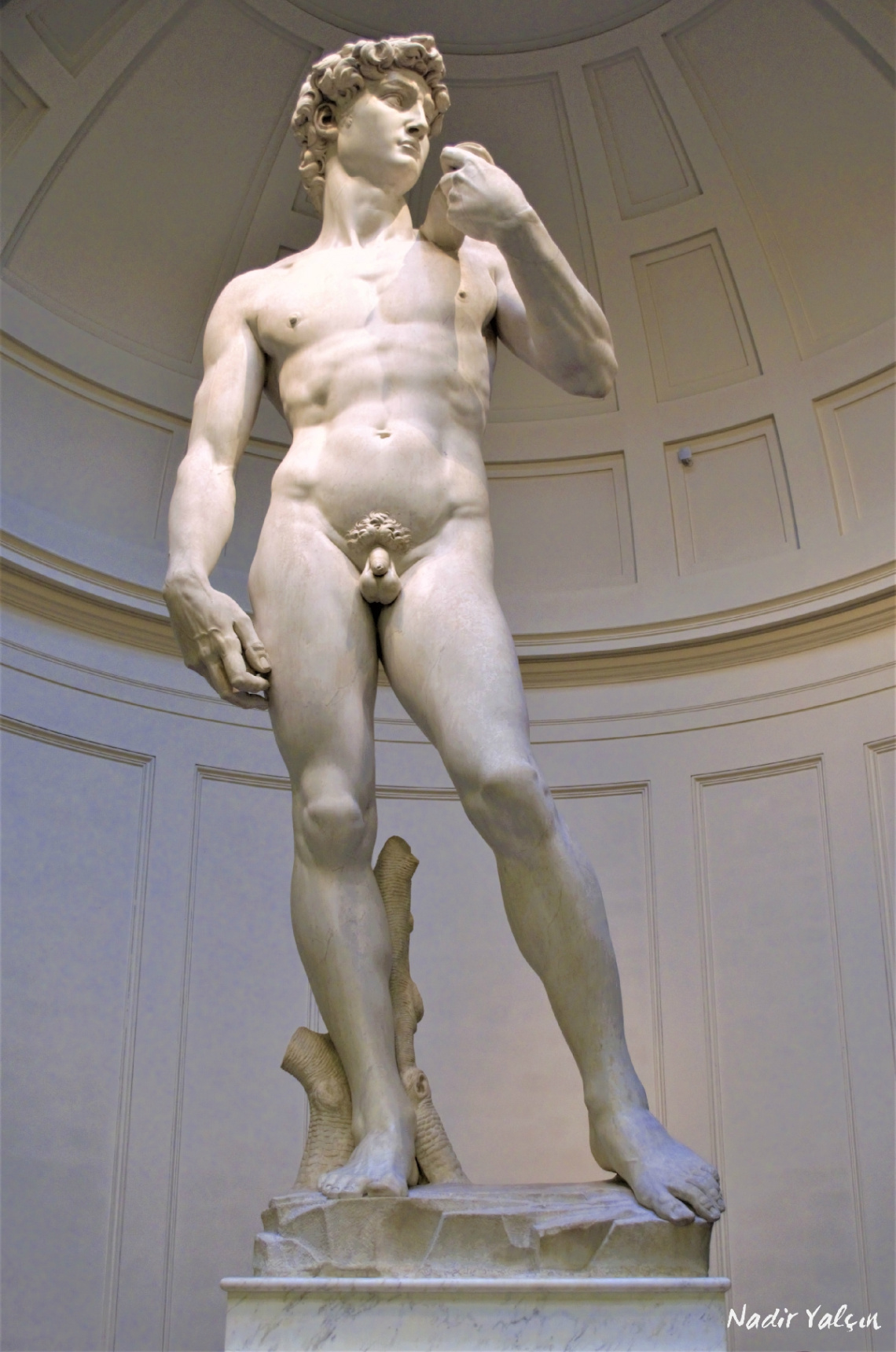 The Excellent David-Firenze-Italy