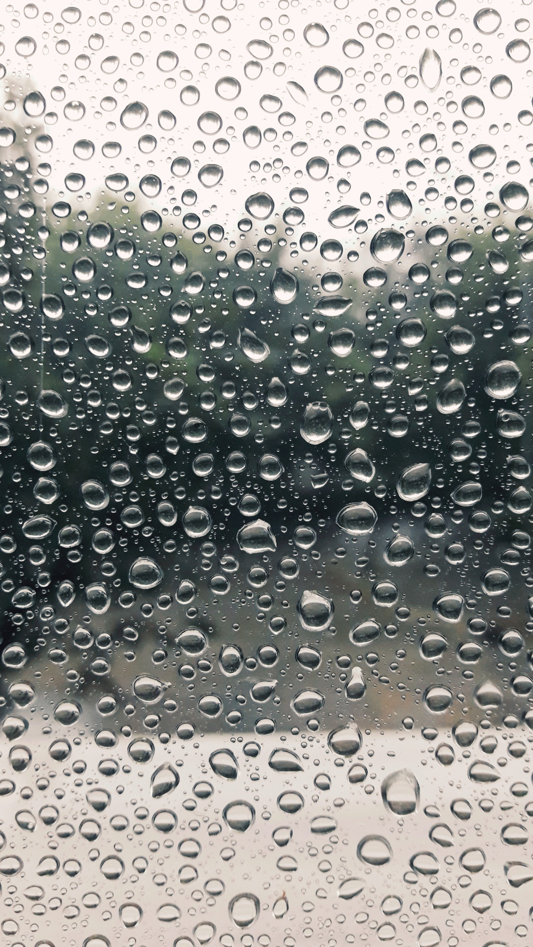 Rainyday 