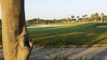 Egypt  - Giza - Dream land 