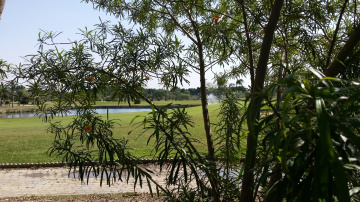 Egypt  - Giza - Dream land 