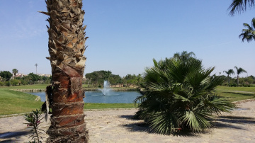 Egypt  - Giza - Dream land 