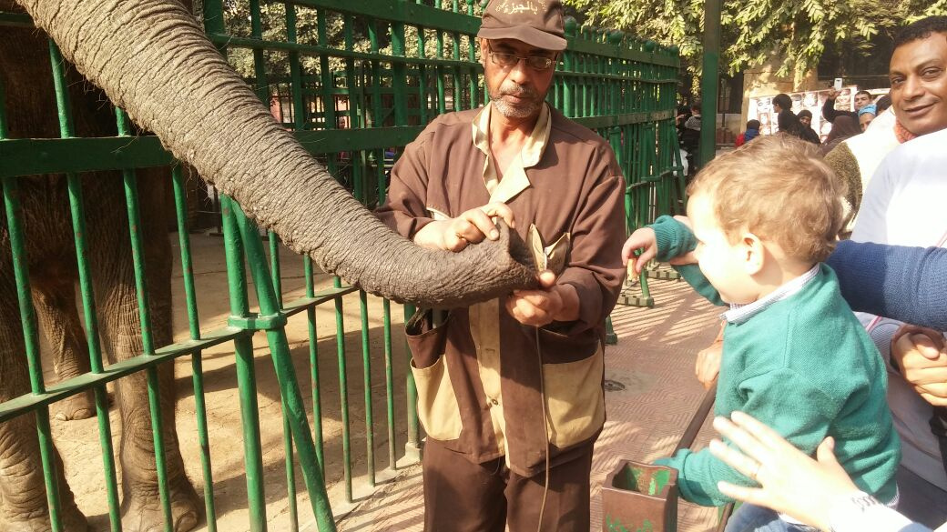 Grandson at the zoo 