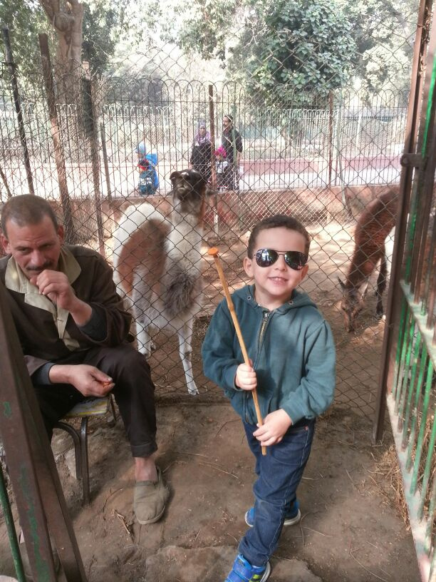 Grandson at the zoo 