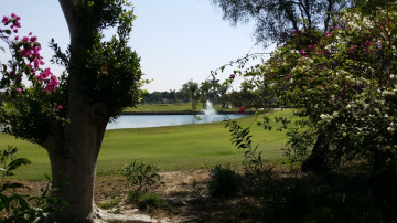 Egypt  - Giza - Dream land 