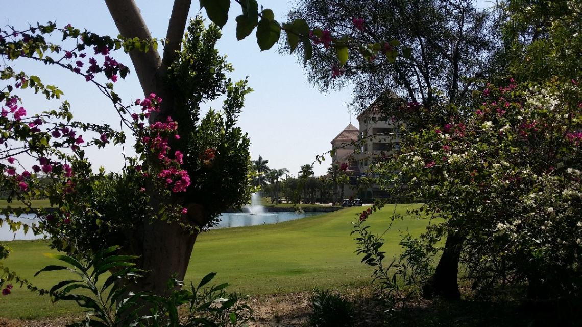 Egypt  - Giza - Dream land 