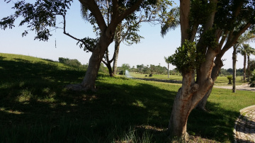 Egypt  - Giza - Dream land 