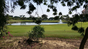 Egypt  - Giza - Dream land 