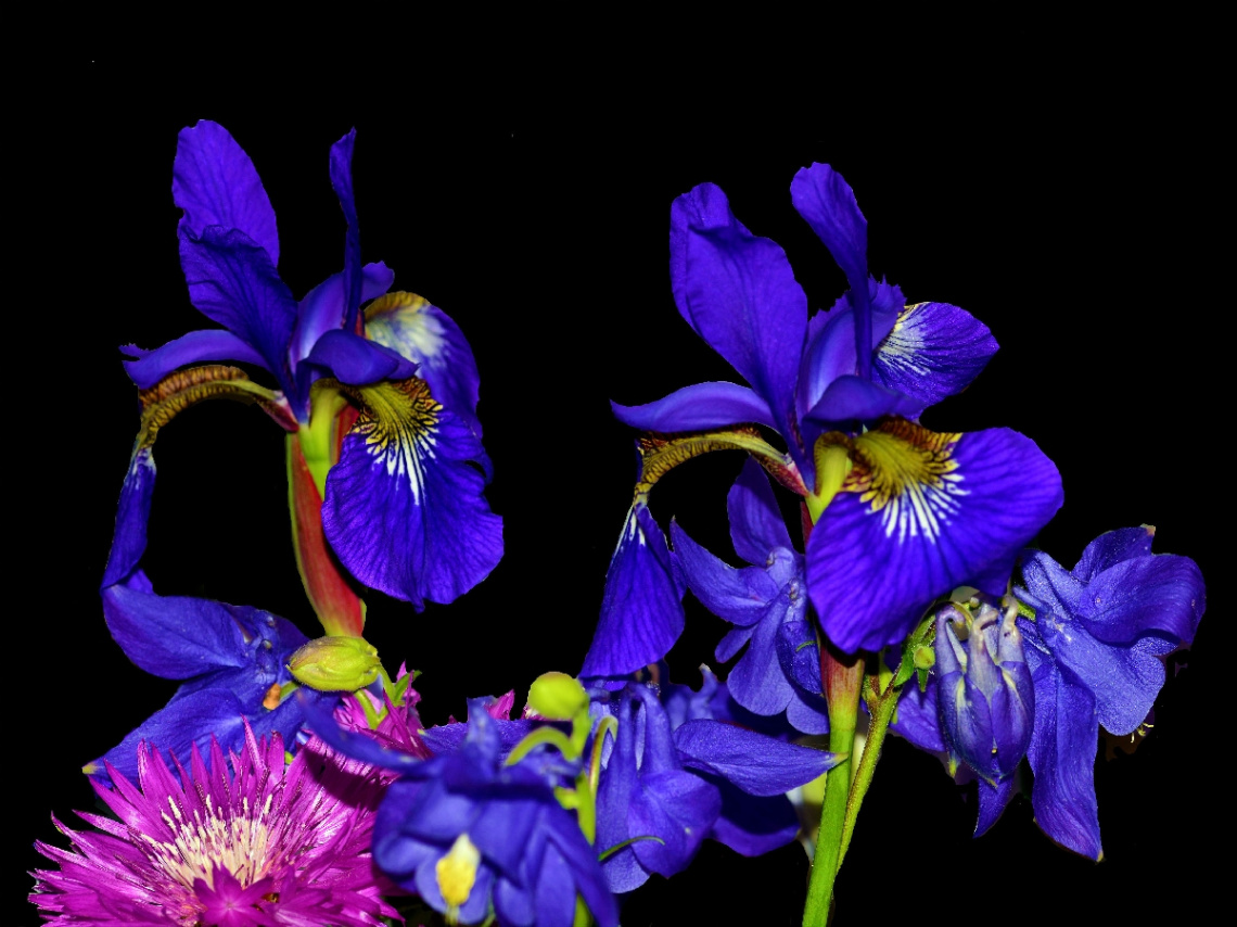 BLÜTEN